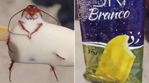 Fábrica de sorvetes é fechada após consumidora encontrar barata em picolé no RJ