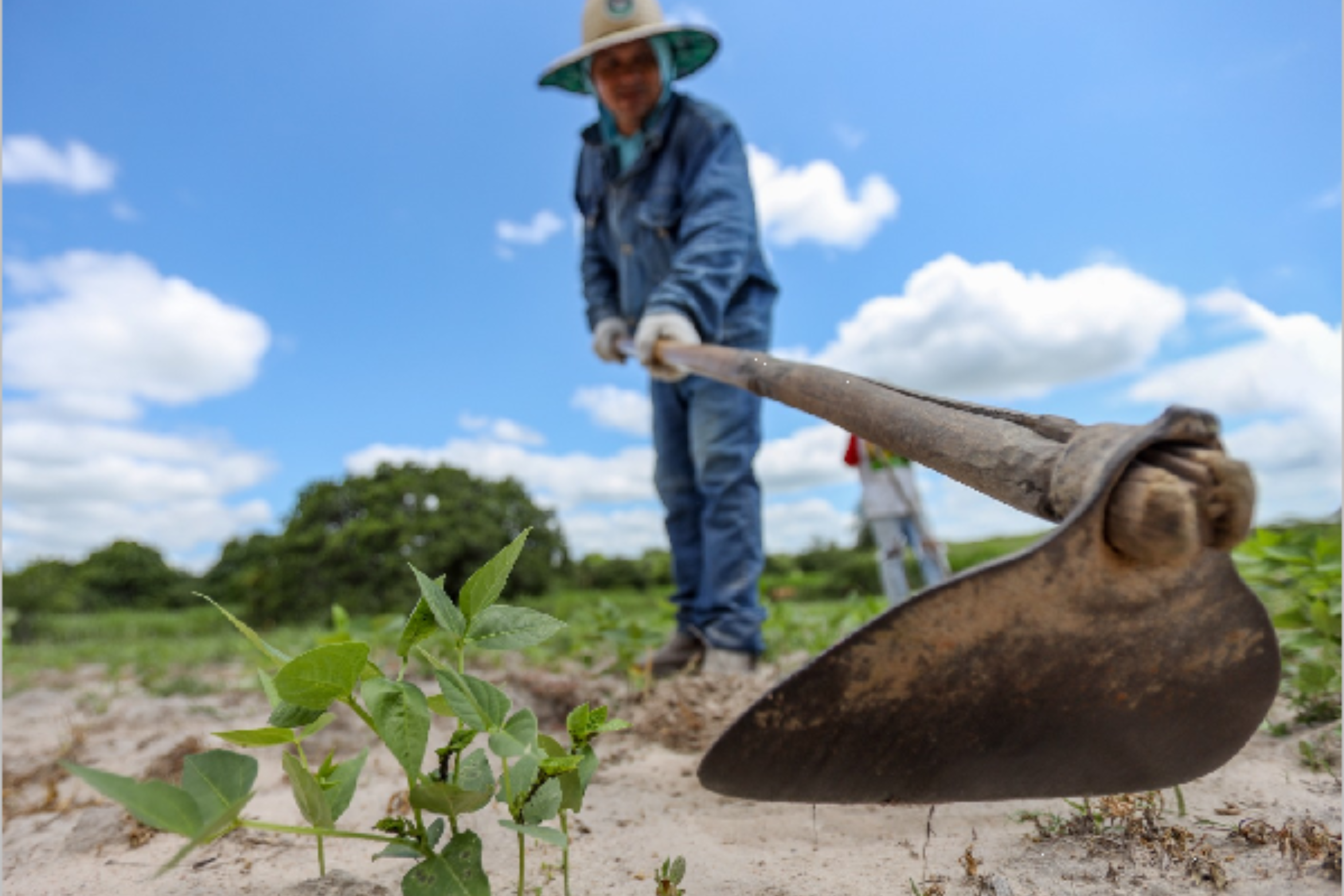 Juazeiro do Norte divulga programação para inscrições no Garantia-Safra