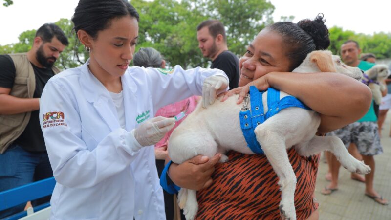 Juazeiro do Norte realiza Dia D de Vacinação Antirrábica neste sábado, com 27 pontos volantes
