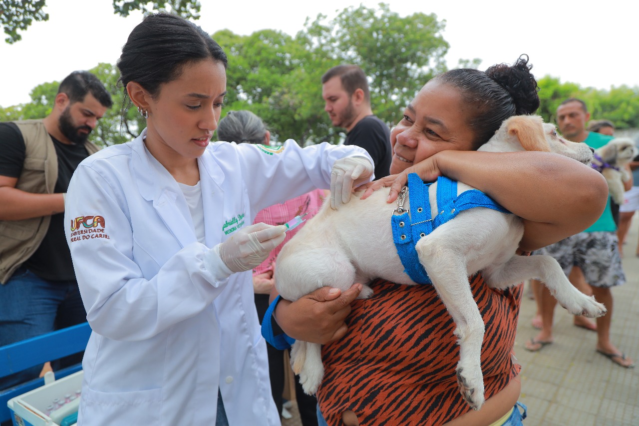 Juazeiro do Norte realiza Dia D de Vacinação Antirrábica neste sábado, com 27 pontos volantes