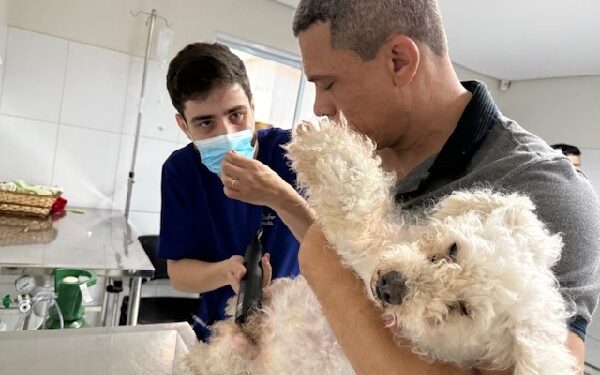 Outubro Rosa Pet: UPAA Lessa mobiliza Crato em prol da causa animal e da prevenção