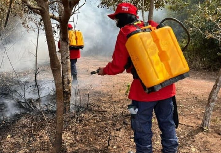 Prefeitura do Crato estabelece proibição de queimadas até o fim de novembro