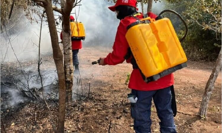 Prefeitura do Crato estabelece proibição de queimadas até o fim de novembro