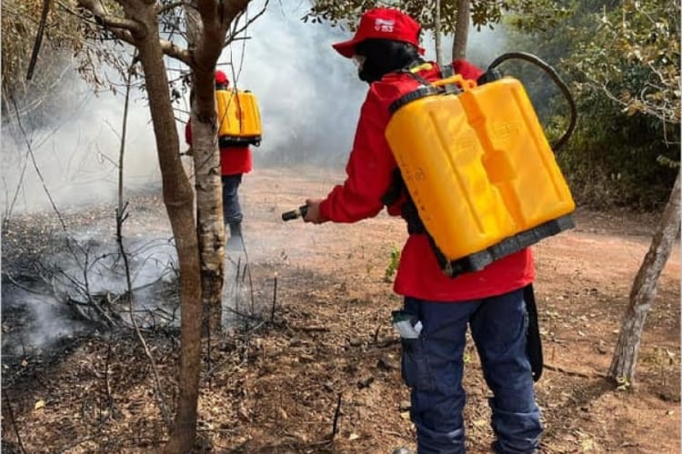 Prefeitura do Crato estabelece proibição de queimadas até o fim de novembro