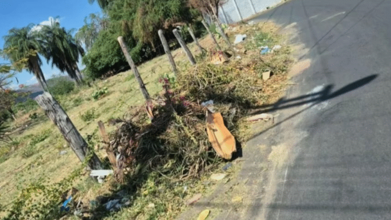 Vereadora Rita Monteiro fiscaliza serviços e solicita recolhimento de resíduos no bairro Salesianos