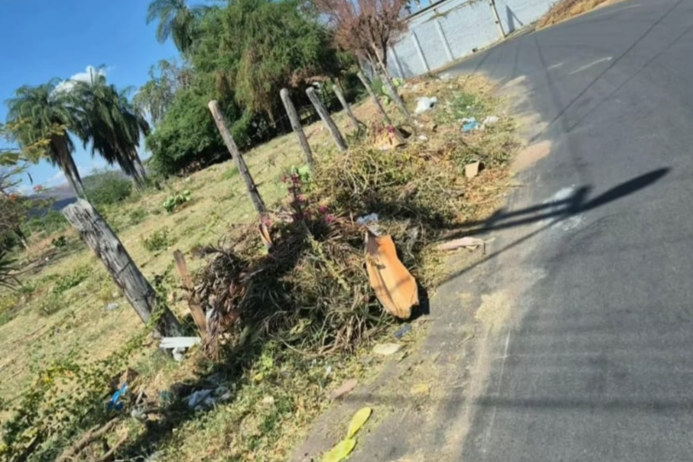 Vereadora Rita Monteiro fiscaliza serviços e solicita recolhimento de resíduos no bairro Salesianos