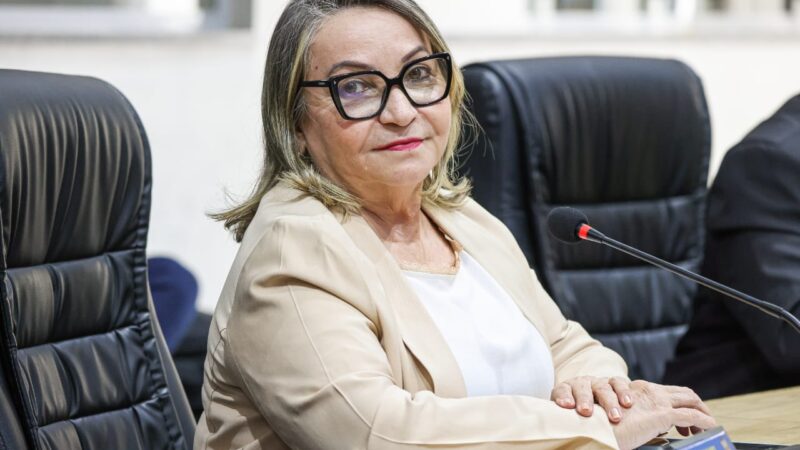 Vereadora Rita Monteiro cobra limpeza e capinação na Rua da Imprensa durante sessão de 11/11