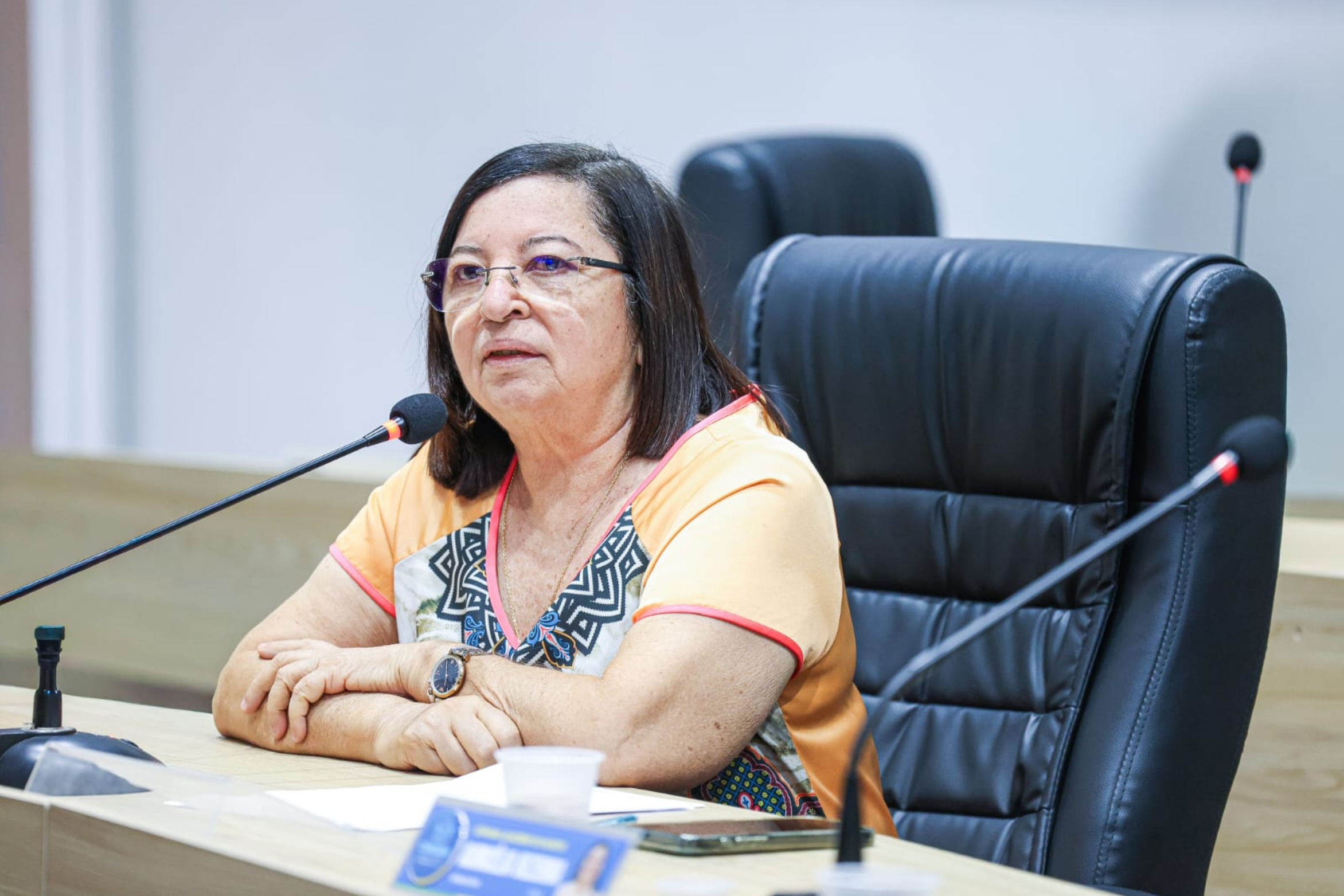 Vereadora Auricélia Bezerra apresenta requerimentos por reparo urgente de esgoto a céu aberto