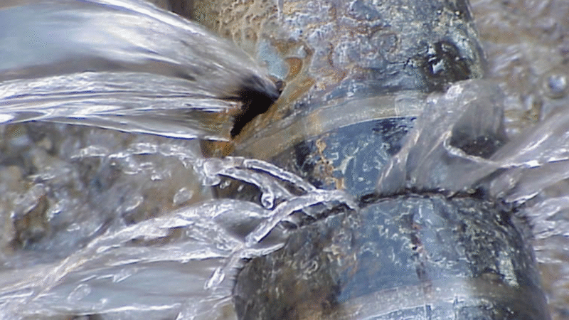 Vereador Cleilson Móveis solicita serviços urgentes de limpeza urbana e reparo em vazamento de água