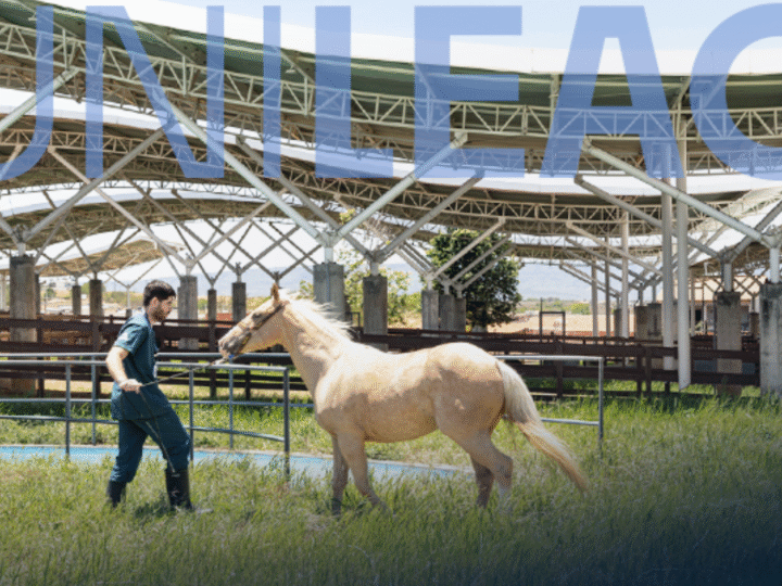 Unileão recebe primeira Residência Uniprofissional em Medicina Veterinária do Cariri, reconhecida pelo MEC