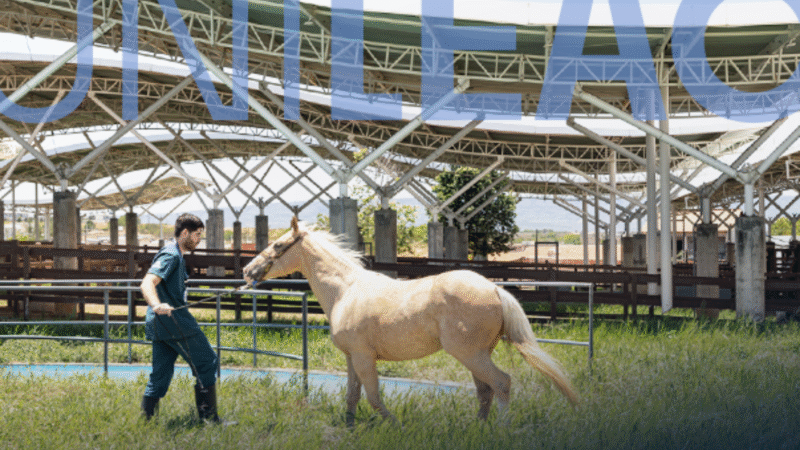 Unileão recebe primeira Residência Uniprofissional em Medicina Veterinária do Cariri, reconhecida pelo MEC
