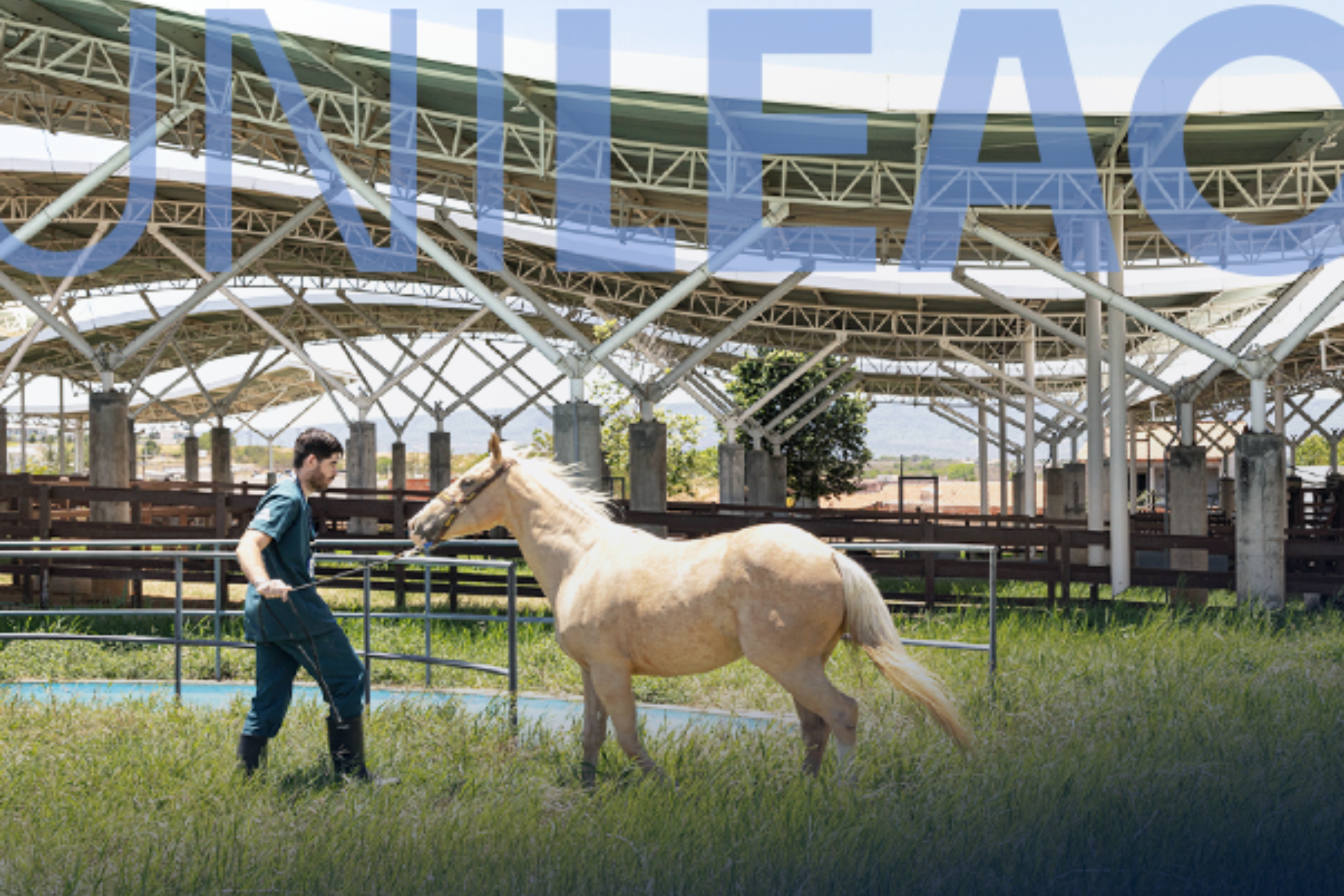 Unileão recebe primeira Residência Uniprofissional em Medicina Veterinária do Cariri, reconhecida pelo MEC