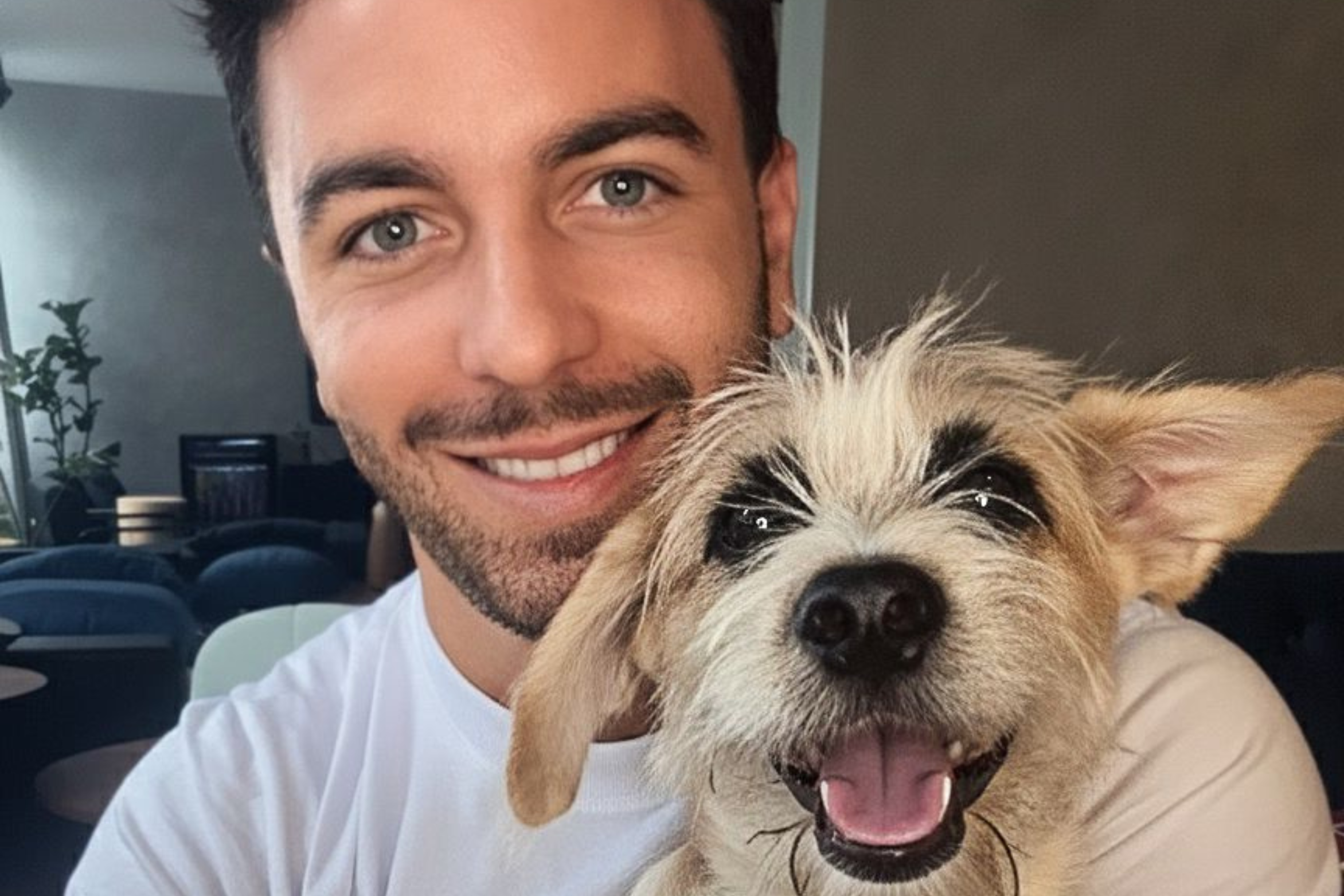 Deputado Célio Studart participa da Cãomiada Cariri e destaca transformação na proteção animal da região