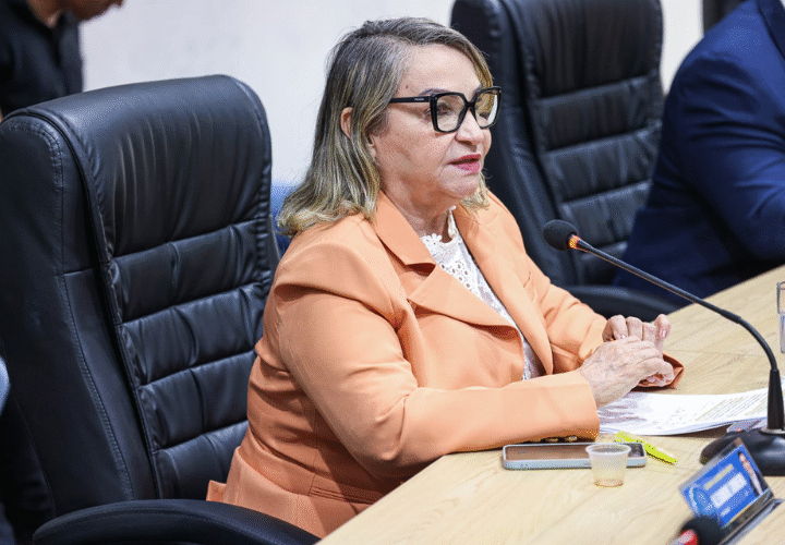 Vereadora Rita Monteiro solicita limpeza, poda e reforço na sinalização em área escolar