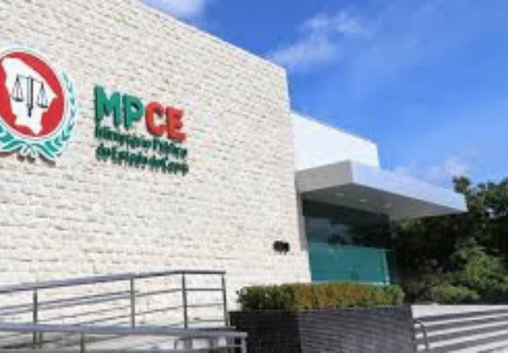 Vereadora Jacqueline Gouveia cobra ações da Prefeitura para a causa animal e solicita envio de ofício ao MPCE