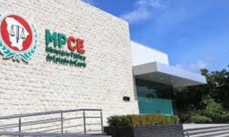 Vereadora Jacqueline Gouveia cobra ações da Prefeitura para a causa animal e solicita envio de ofício ao MPCE