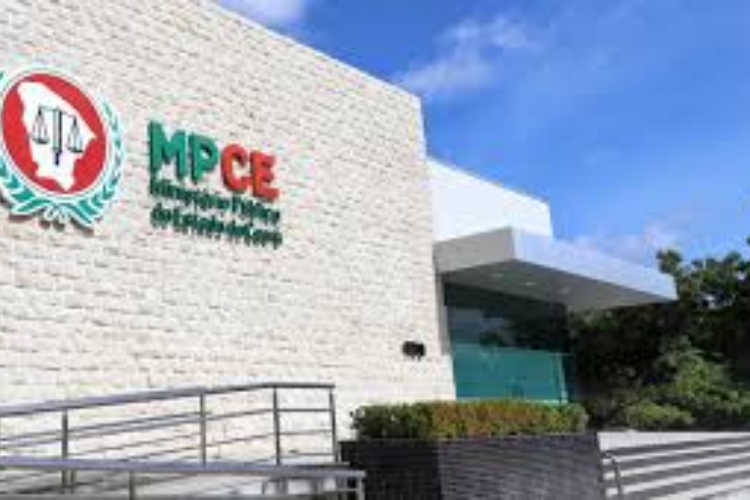 Vereadora Jacqueline Gouveia cobra ações da Prefeitura para a causa animal e solicita envio de ofício ao MPCE