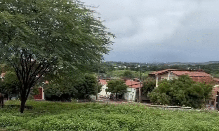 Vereador Vinícius Duarte solicita poda de área verde e reforço na sinalização de trânsito em Juazeiro do Norte