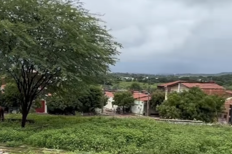 Vereador Vinícius Duarte solicita poda de área verde e reforço na sinalização de trânsito em Juazeiro do Norte