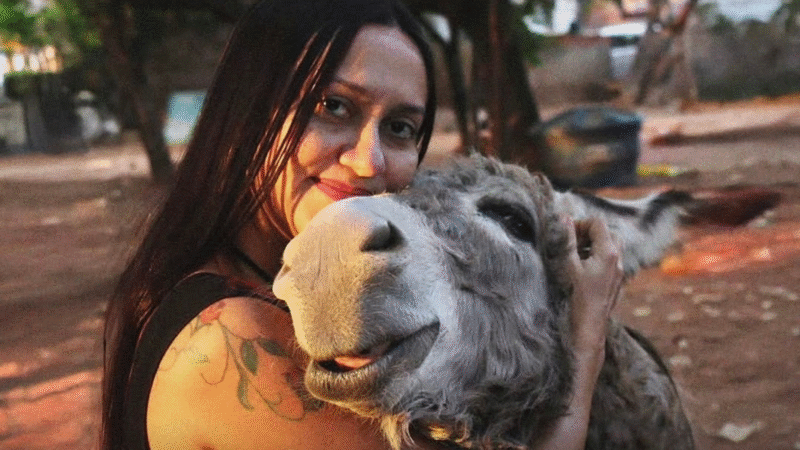 Vereadora Jacqueline Gouveia destaca vitória da causa animal na Bahia e defende proibição da matança de jumentos no Ceará