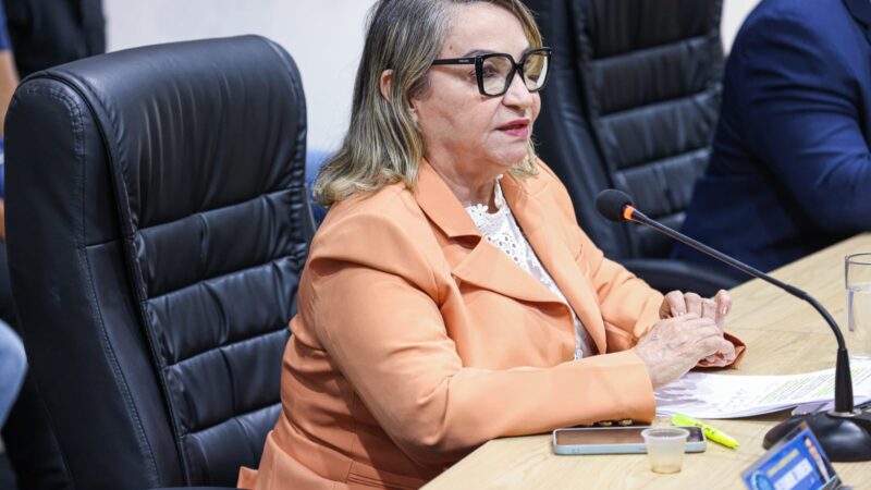 Vereadora Rita Monteiro propõe criação de mérito legislativo para estudantes com destaque no ENEM