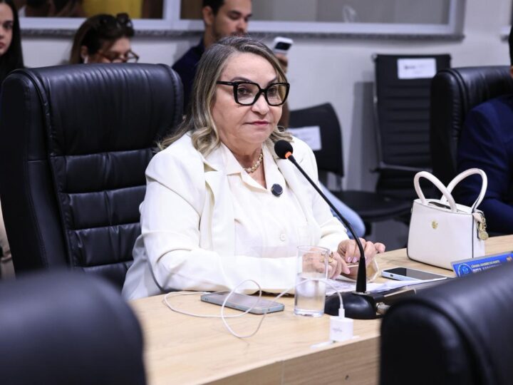 Vereadora Rita Monteiro solicita reparos em praça de igreja na zona rural e apresenta homenagem