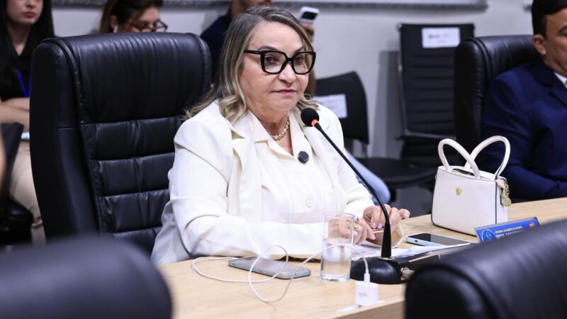 Vereadora Rita Monteiro solicita reparos em praça de igreja na zona rural e apresenta homenagem