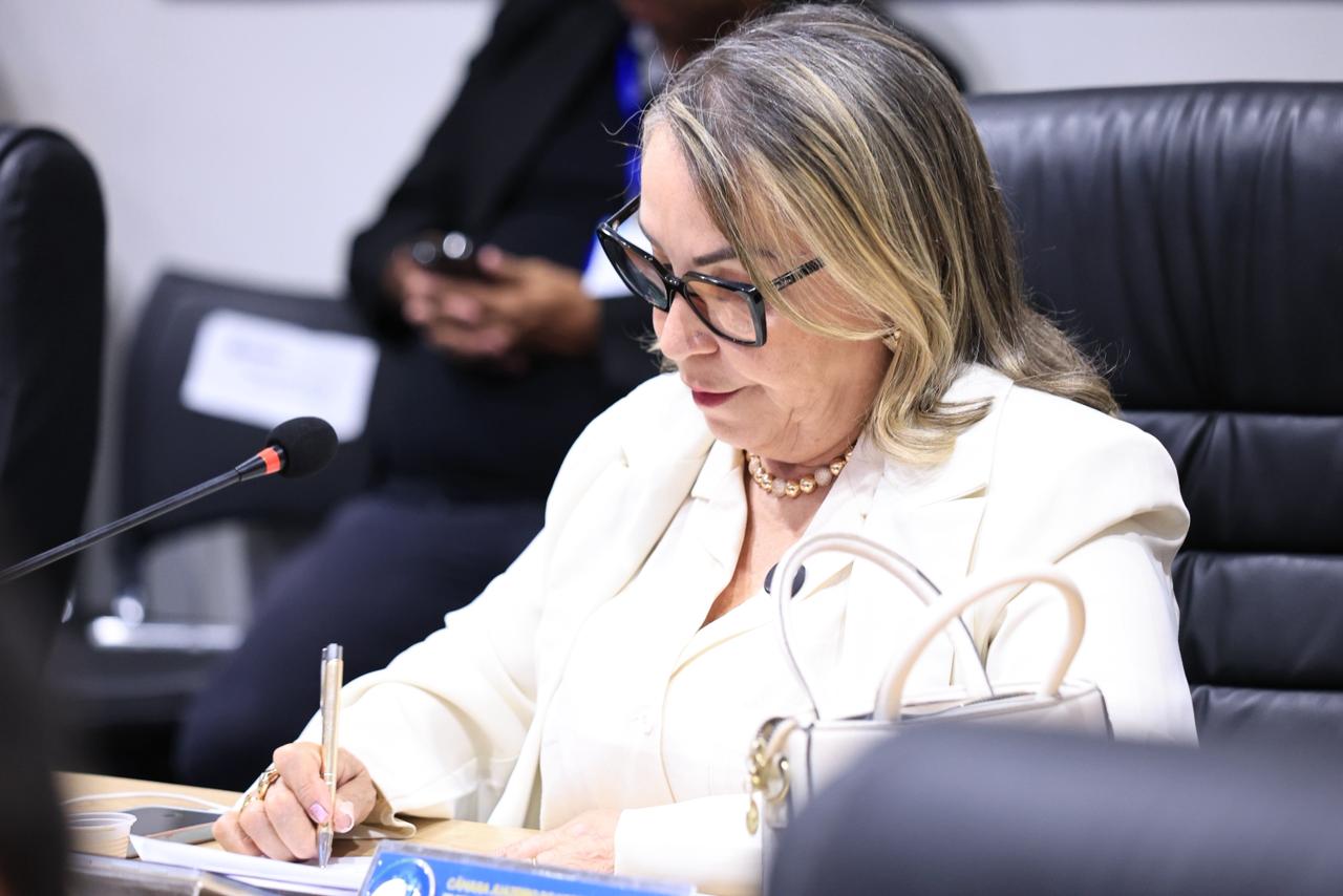 Vereadora Rita Monteiro solicita retirada de entulho e reforço na sinalização viária em Juazeiro do Norte