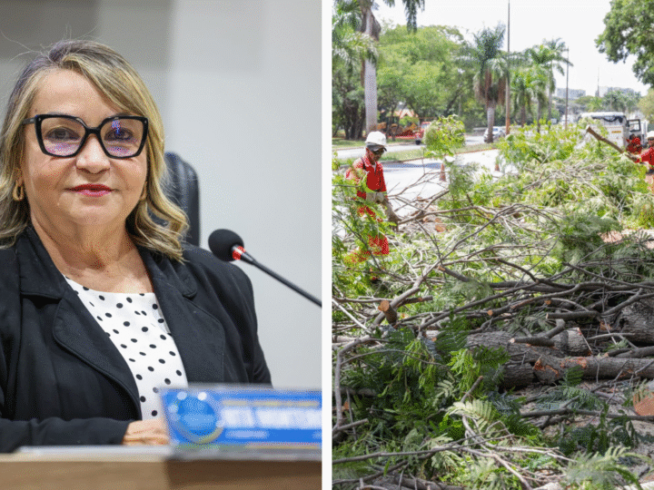 Vereadora Rita Monteiro solicita ações de limpeza e retirada de areia nos bairros Limoeiro e Frei Damião