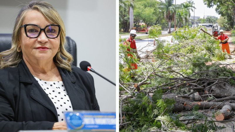 Vereadora Rita Monteiro solicita ações de limpeza e retirada de areia nos bairros Limoeiro e Frei Damião