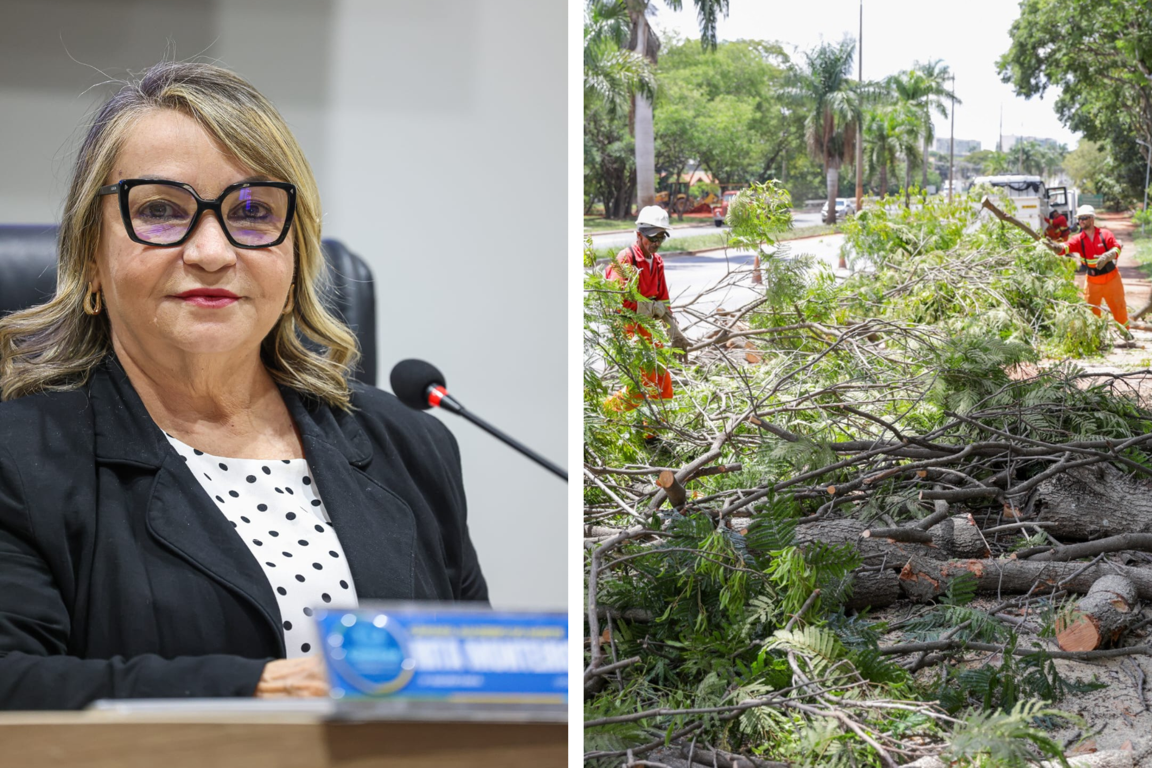 Vereadora Rita Monteiro solicita ações de limpeza e retirada de areia nos bairros Limoeiro e Frei Damião