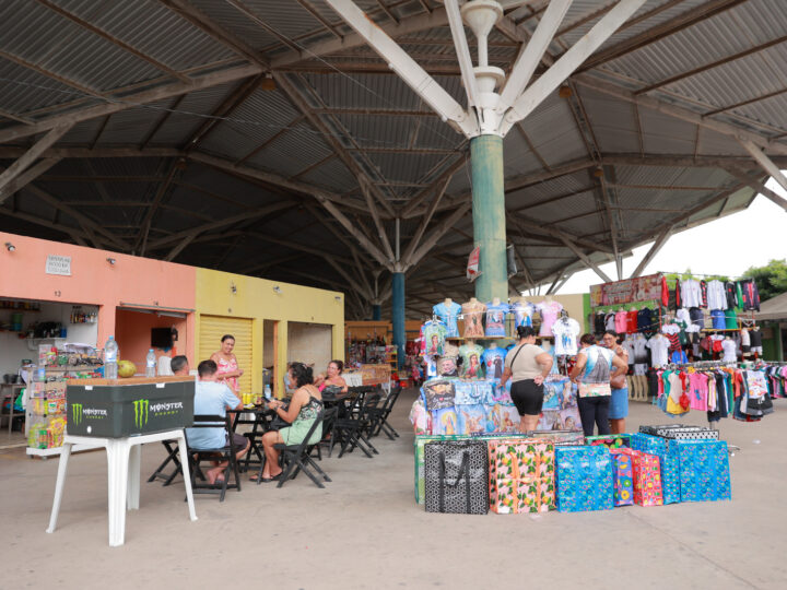 Mercados públicos de Juazeiro do Norte passarão por serviços de dedetização a partir do dia 9 de julho