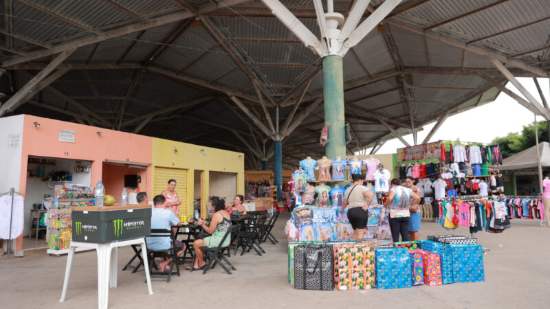 Mercados públicos de Juazeiro do Norte passarão por serviços de dedetização a partir do dia 9 de julho