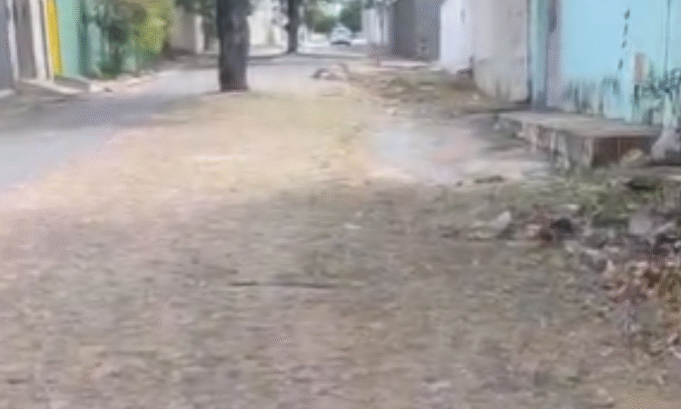 Vereador Bilinha solicita recuperação de trecho da Rua Maria Ângela Albuquerque Matos, no Jardim Gonzaga