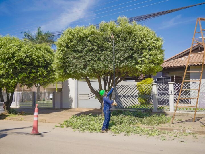 Vereador Barbosa Neto solicita recuperação de calçamento e poda de árvores no Jardim Gonzaga